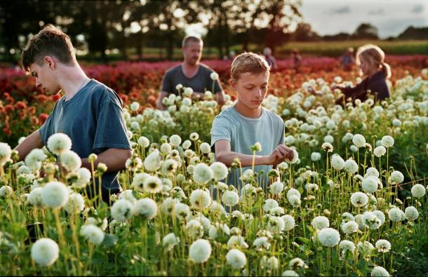Close - Senioren Filmdagen november
