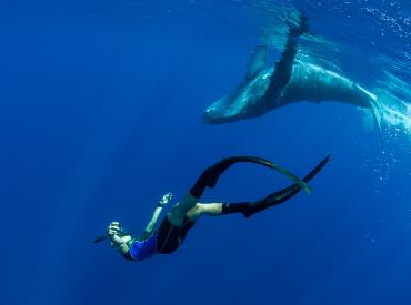 Ocean Film Tour